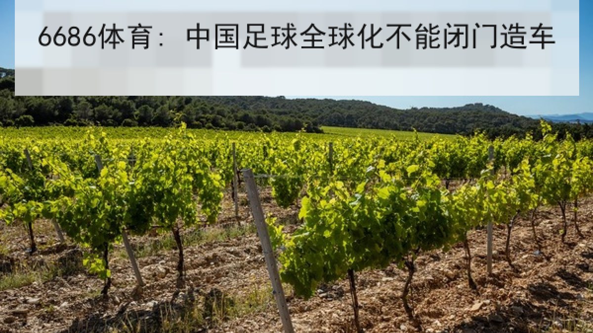 6686体育: 中国足球全球化不能闭门造车